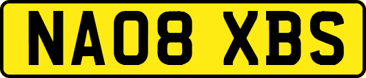 NA08XBS