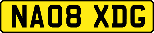 NA08XDG