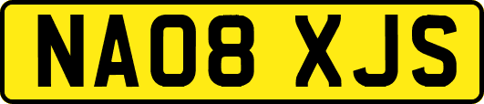NA08XJS
