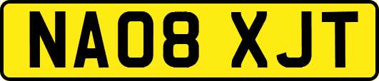 NA08XJT
