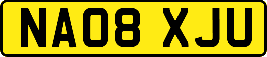 NA08XJU