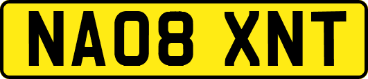 NA08XNT