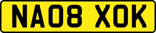 NA08XOK