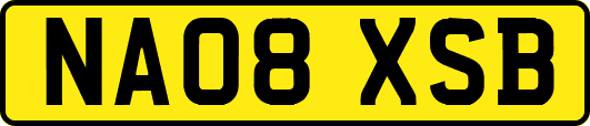 NA08XSB