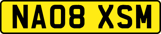 NA08XSM