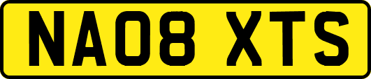 NA08XTS