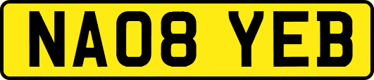 NA08YEB
