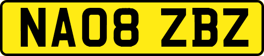 NA08ZBZ