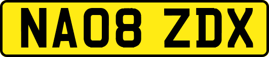 NA08ZDX