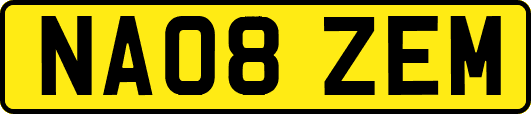 NA08ZEM