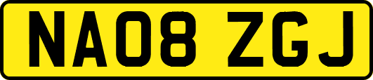 NA08ZGJ
