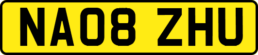 NA08ZHU