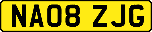 NA08ZJG