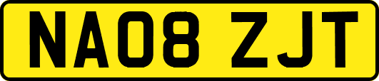 NA08ZJT