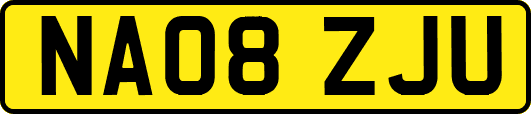 NA08ZJU