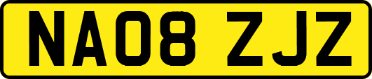 NA08ZJZ