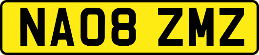 NA08ZMZ