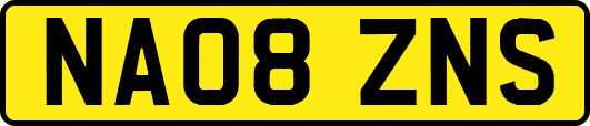 NA08ZNS