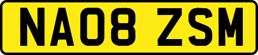 NA08ZSM