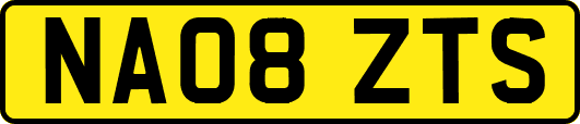 NA08ZTS