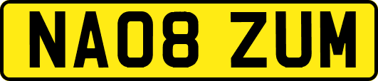 NA08ZUM