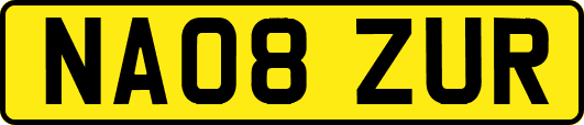 NA08ZUR