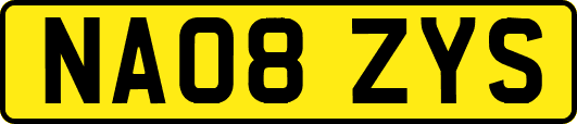 NA08ZYS