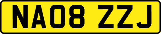 NA08ZZJ