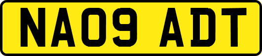 NA09ADT