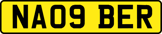 NA09BER