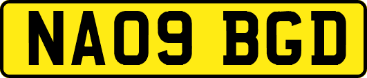 NA09BGD