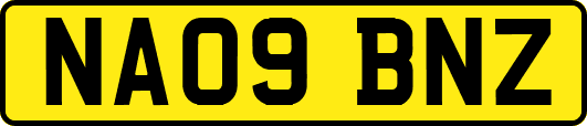NA09BNZ