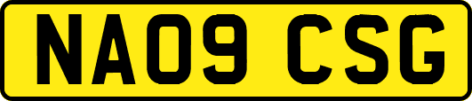 NA09CSG