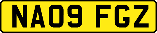 NA09FGZ
