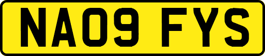 NA09FYS