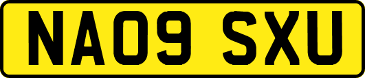 NA09SXU