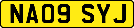NA09SYJ