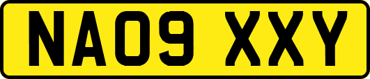NA09XXY