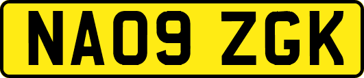 NA09ZGK
