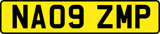 NA09ZMP