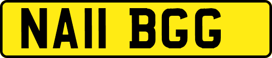 NA11BGG