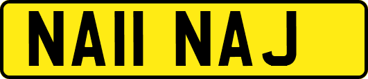 NA11NAJ