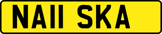 NA11SKA
