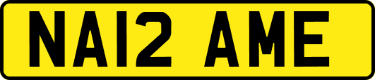 NA12AME