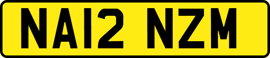 NA12NZM