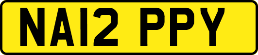 NA12PPY