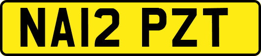 NA12PZT