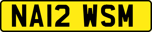 NA12WSM