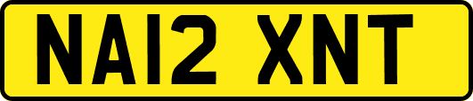 NA12XNT