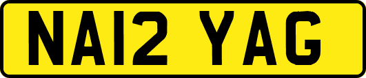 NA12YAG